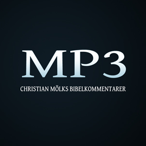 MP3